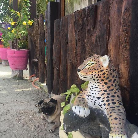 Hotel Hacienda La Catrina Isla Holbox Екстериор снимка